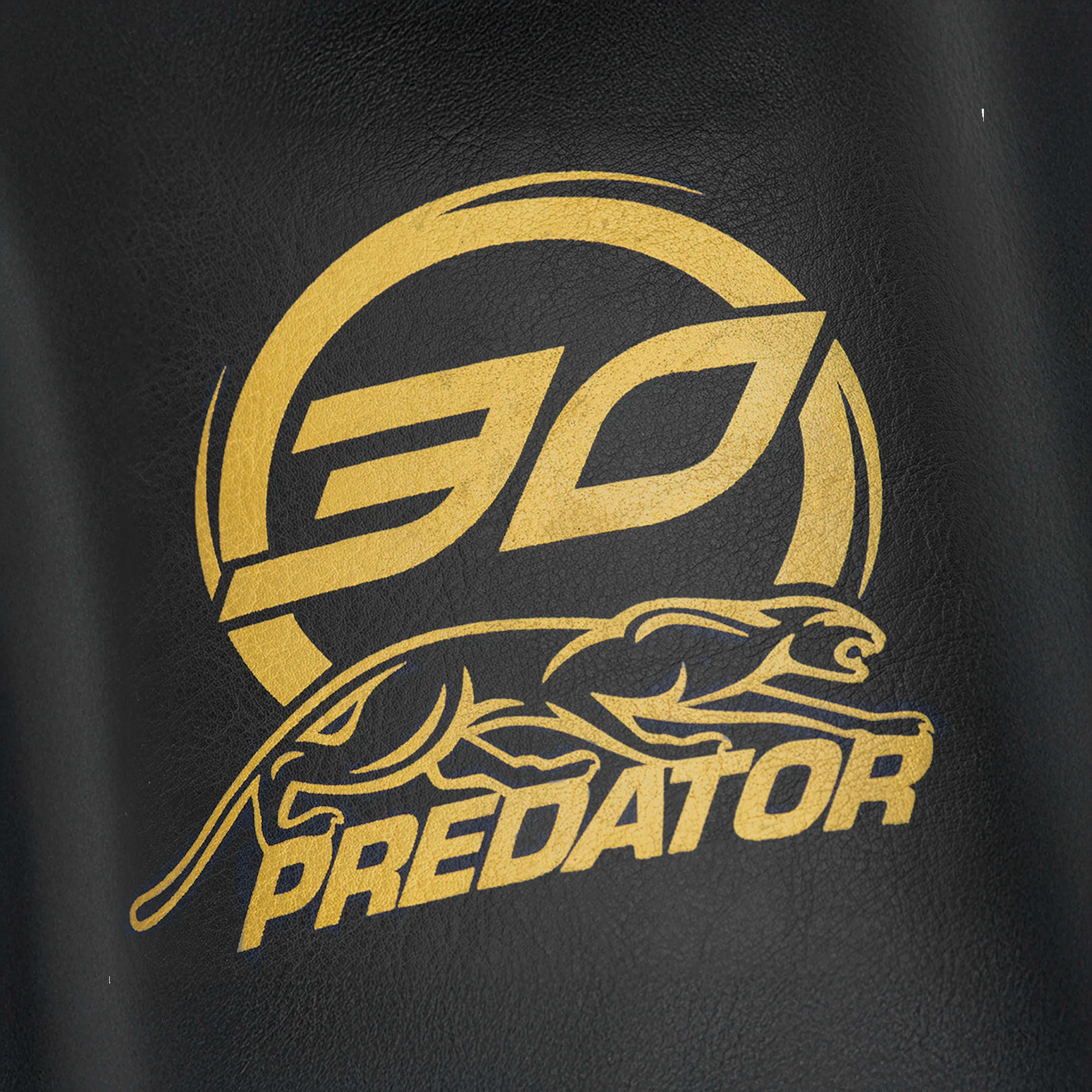 30th Anniversary Roadline Hard Pool Cue Case Gold Predator Logo