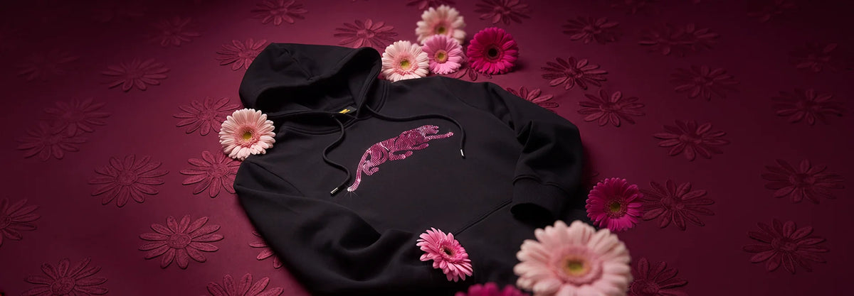 Champion Shine Hoodie Desktop Banner