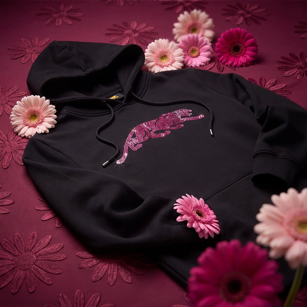Champion Shine Hoodie Teaser